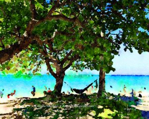 The Hammock