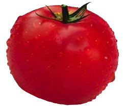 tomato