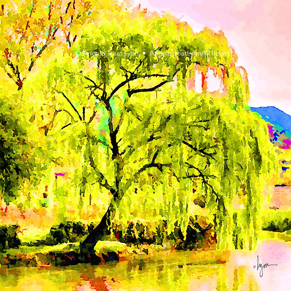 Weeping Willow